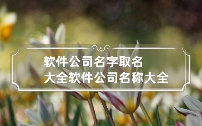 岳阳软件公司名叫什么好听易记